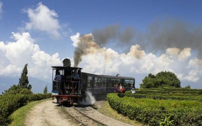 India en tren: cómo organizar un viaje épico sobre rieles
